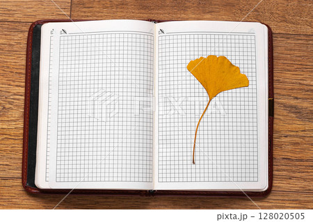 Open Notebook with Pressed Yellow Leaf on Wooden Surface 128020505