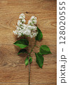 White Lilac Flower on Wooden Surface with Green Leaves Arrangement 128020555