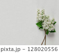White Lilac Flowers Assembled on White and Wooden Background 128020556