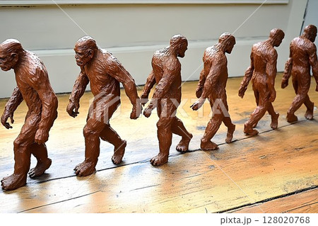 Evolutionary figures depicting the progression of human ancestry Evolutionary figures depicting the progression of human ancestry 128020768