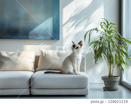 Japanese Bobtail cat sits gracefully on a light sofa in a minimalist, bright interior. Japanese Bobtail cat sits gracefully on a light sofa in a minimalist, bright interior. 128021219