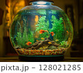 Round home aquarium with small goldfish swimming inside, minimal interior and natural lighting. 128021285