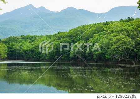 知床五湖・四湖 128022209