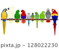 いろいろなオウムとインコのグループ 128022230