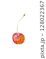 さくらんぼ 128022367