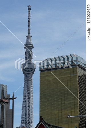 スカイツリーのある風景 128022470