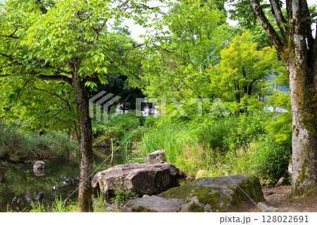 紫式部公園 紫式部公園 128022691