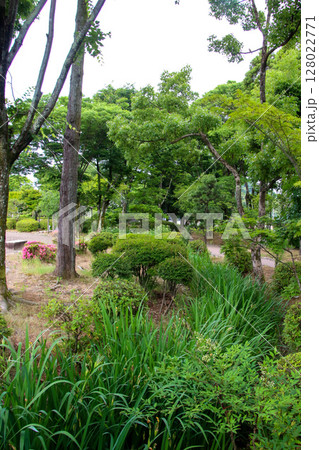 紫式部公園 128022771