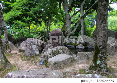 紫式部公園 128022773