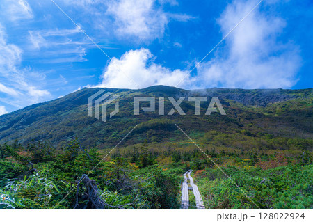 【山岳素材】初秋の頃の天狗原と雲海【長野県】 128022924