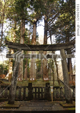 瀧尾神社の三本杉 瀧尾神社の三本杉 128023031