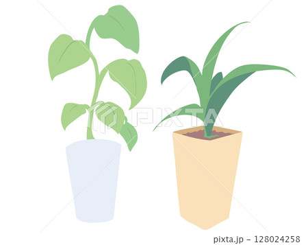 観葉植物 主線なし 観葉植物 主線なし 128024258