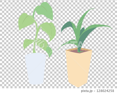 室內植物 沒有主線 室內植物 沒有主線 128024258