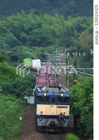 新緑が美しい梅雨の木曽路を駆け抜けるEF64-1033号機牽引の貨物列車_2025/7/1撮影 128024320