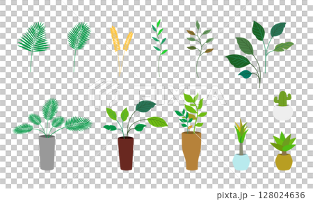 一組觀賞植物和植物部件向量資料圖形材料 128024636