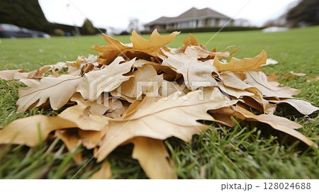 Natural elements closeup beige brown organic textures 128024688