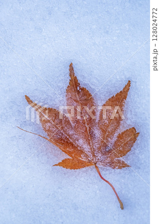 霜のついたカラフルな落ち葉 128024772