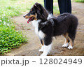 公園で遊ぶ子犬 128024949