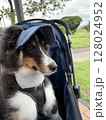 ドッグカートに乗って竿を見つめる犬 128024952