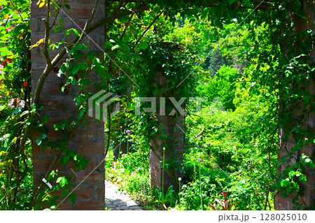 ACAO FORESTの景色 128025010