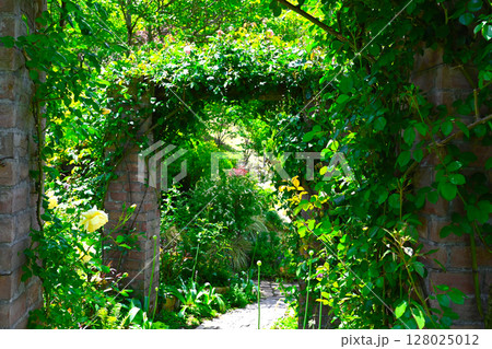 ACAO FORESTの景色 128025012