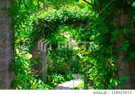 ACAO FORESTの景色 128025013
