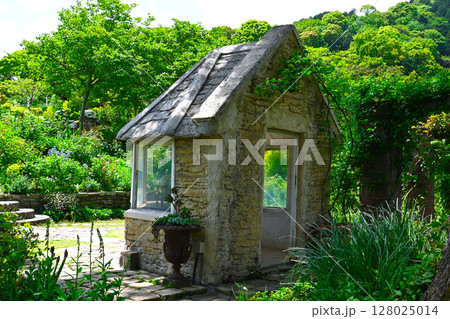 ACAO FORESTの景色 ACAO FORESTの景色 128025014