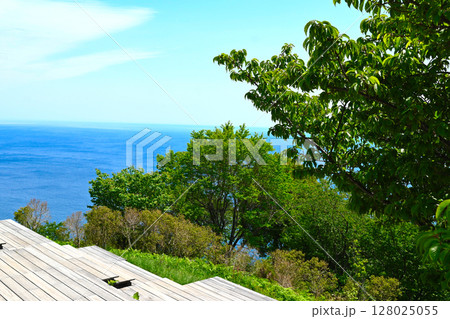 ACAO FORESTの景色 128025055