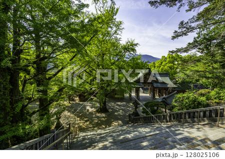 宇和島 和霊神社 神門 愛媛県宇和島市 宇和島 和霊神社 神門 愛媛県宇和島市 128025106