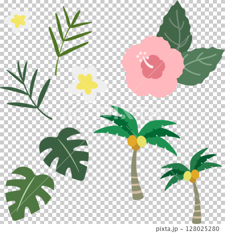 Tropical plant illustration material set 128025280