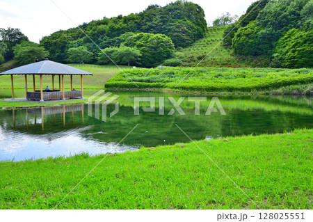 西方ふれあいパーク　水辺　西方総合公園　栃木市 128025551