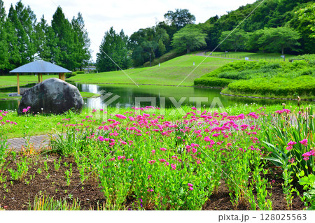 西方ふれあいパーク 水辺 西方総合公園 栃木市 西方ふれあいパーク 水辺 西方総合公園 栃木市 128025563