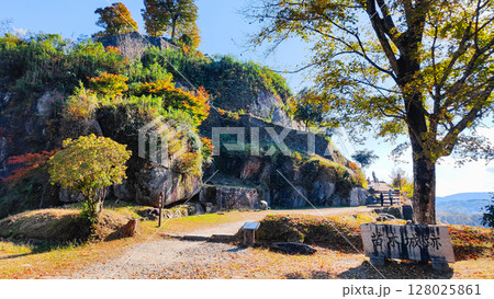 苗木城跡（秋） 128025861