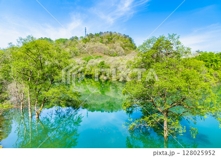 岩手 和賀川の水没林 128025952