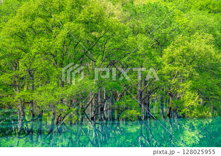 岩手 和賀川の水没林 128025955