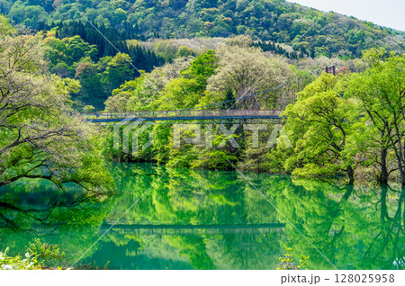 岩手 和賀川の水没林 128025958