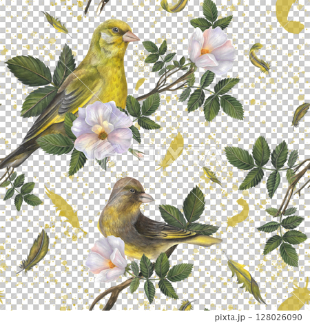Greenfinch birds, feathers, rosehip flowers, leaves and watercolor splash on transparentbackground hand drawn. Seamless pattern watercolor illustrations for fabric, textile, prints, design  128026090
