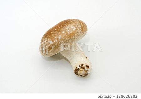 原木椎茸 原木椎茸 128026282