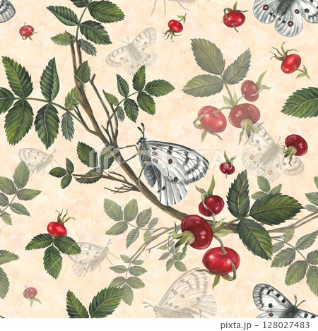White butterfly apollo and red berries rose hips. Seamless pattern watercolor illustration on a color background for fabric, textile, prints, design White butterfly apollo and red berries rose hips. Seamless pattern watercolor illustration on a color background for fabric, textile, prints, design 128027483
