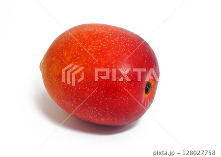 【マンゴー】 (深度合成) 128027758