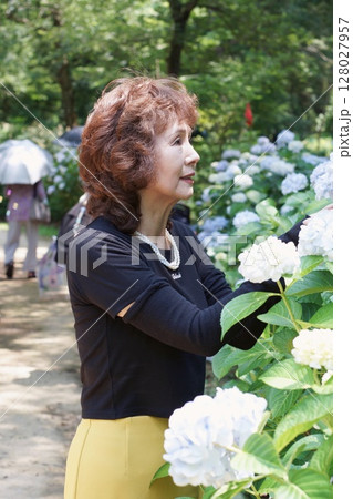 紫陽花とシニアモデル 128027957