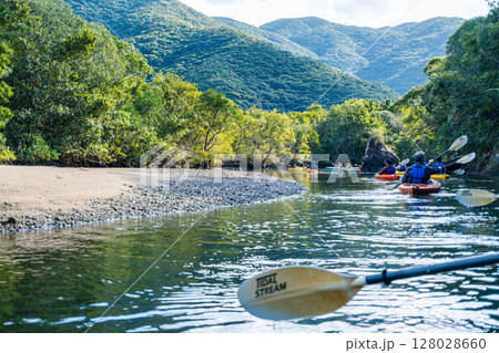 【#奄美大島】マングローブ原生林 128028660