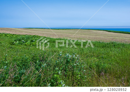 日本の北海道の道東のとても美しい風景 128028932