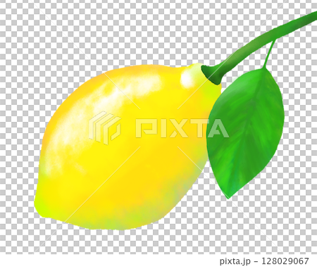Lemon with branches 128029067