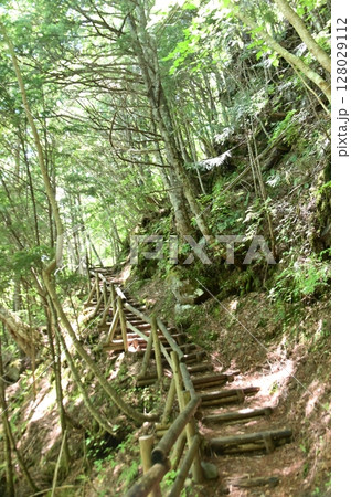 善五郎の滝と牛留池を結ぶ二人の小径 128029112