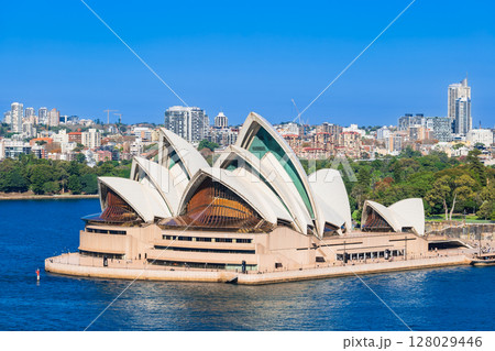 シドニー ハーバーブリッジから見るオペラハウス シドニー ハーバーブリッジから見るオペラハウス 128029446