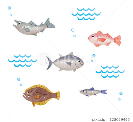 魚のイラストセット　マグロ　サケ　のどくろ　ヒラメ　イワシ 128029496