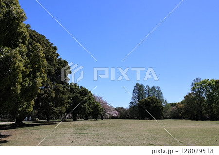 さいたま市北区の見沼グリーンセンターの風景 さいたま市北区の見沼グリーンセンターの風景 128029518