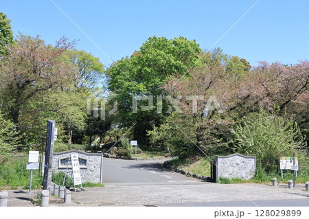 さいたま市市民の森見沼グリーンセンター駐車場入り口の風景 128029899