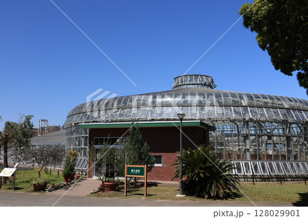 さいたま市見沼グリーンセンター市民の森の展示温室の建物 128029901